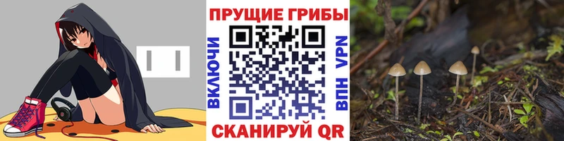 Псилоцибиновые грибы мухоморы  купить  цена  Кизилюрт 